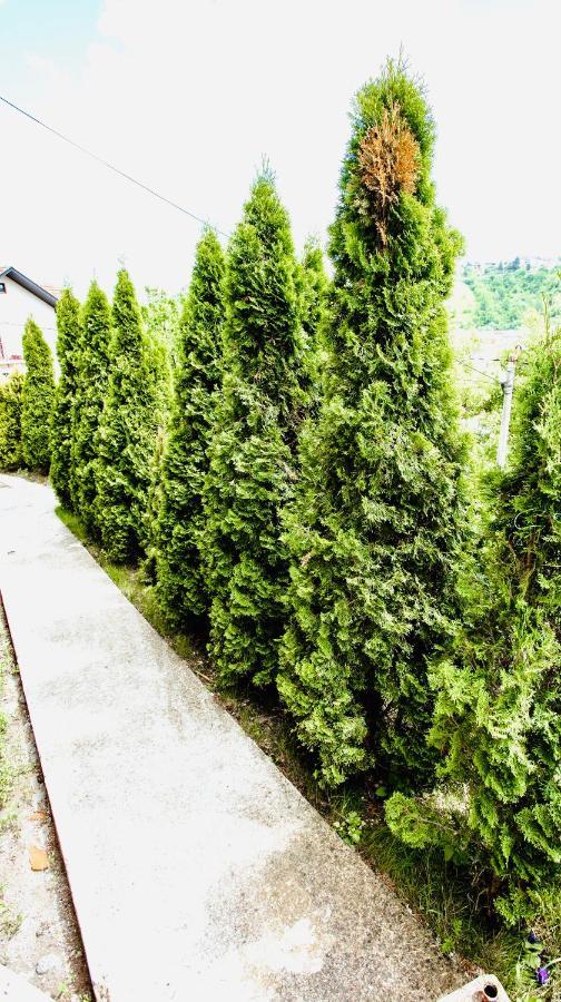 Apartmani In Zlatar Nova Varoš 외부 사진